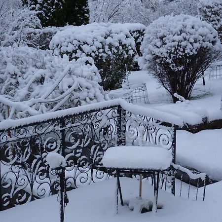 Studio Cosy Avec Vue Sur Lac Et Montagne A Gerardmer 30 M² Екстер'єр фото
