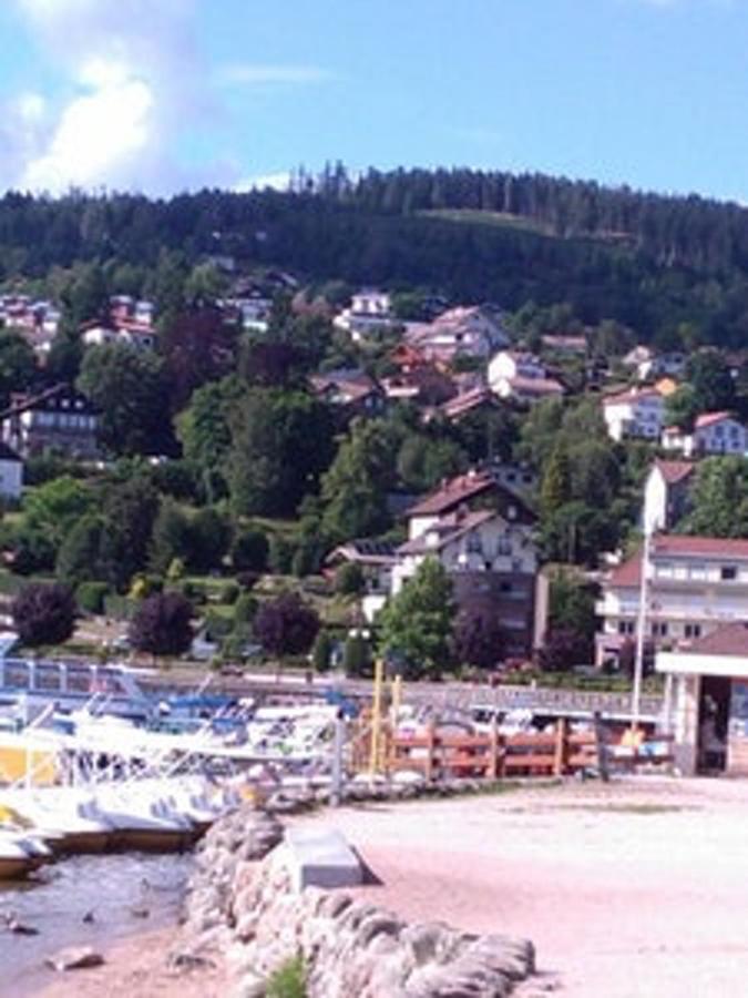 Studio Cosy Avec Vue Sur Lac Et Montagne A Gerardmer 30 M² Екстер'єр фото
